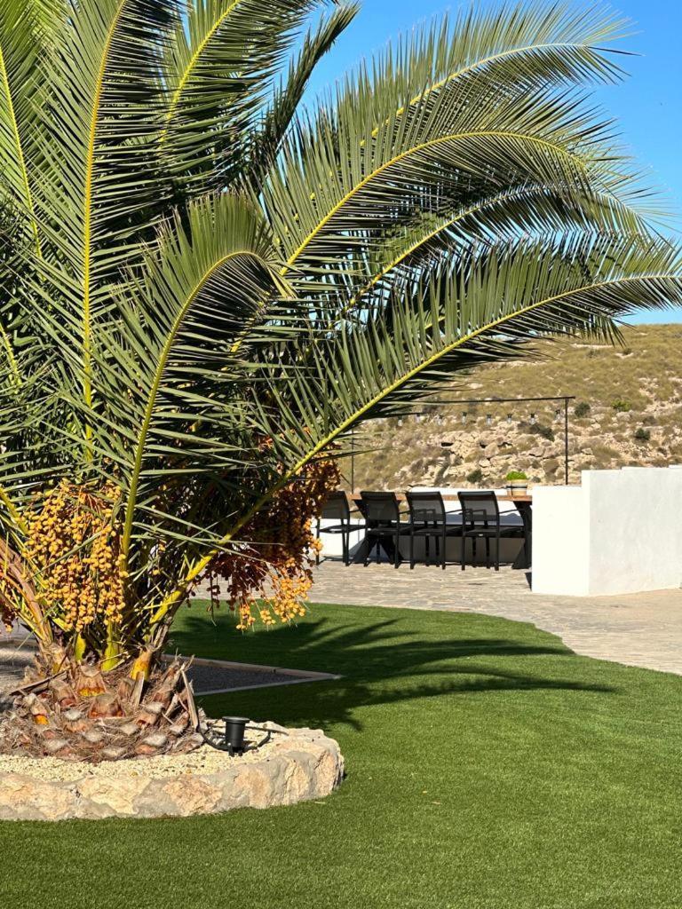Los Palmitos Agua Amarga  Exteriör bild